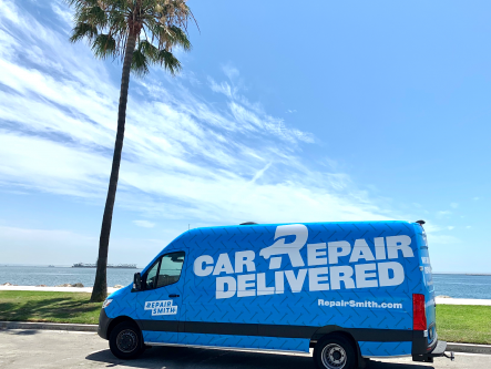 48855640-0-tree-copy